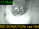 17:19:43