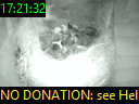 17:21:32