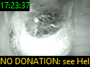 17:23:37