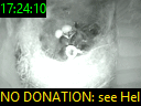 17:24:10