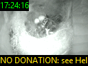 17:24:16