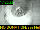 17:25:23