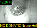 17:26:18