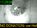 17:29:08