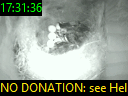 17:31:36