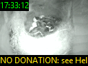 17:33:12
