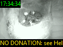 17:34:34