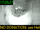 17:35:27