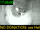 17:36:00