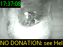 17:37:08