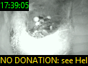 17:39:05