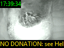 17:39:34