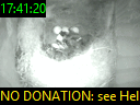 17:41:20