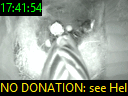 17:41:54