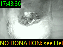 17:43:36