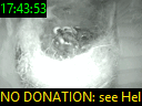 17:43:53