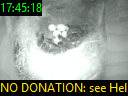 17:45:18