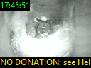17:45:51