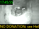 17:45:55
