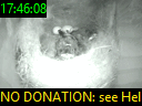 17:46:08
