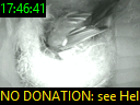 17:46:41