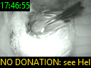 17:46:55
