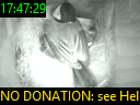 17:47:29