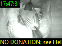 17:47:31