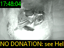 17:48:04