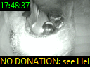 17:48:37