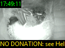 17:49:11