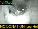 17:49:35