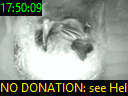 17:50:09