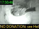 17:50:46