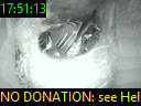 17:51:13