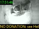 17:51:46