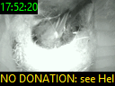 17:52:20
