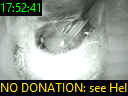 17:52:41