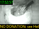 17:52:57