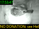 17:53:47