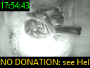 17:54:43