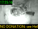 17:55:16
