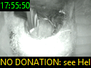 17:55:50