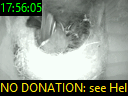 17:56:05
