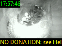 17:57:46