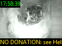 17:58:39
