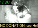 17:59:12