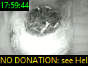 17:59:44