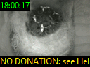 18:00:17