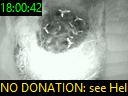 18:00:42